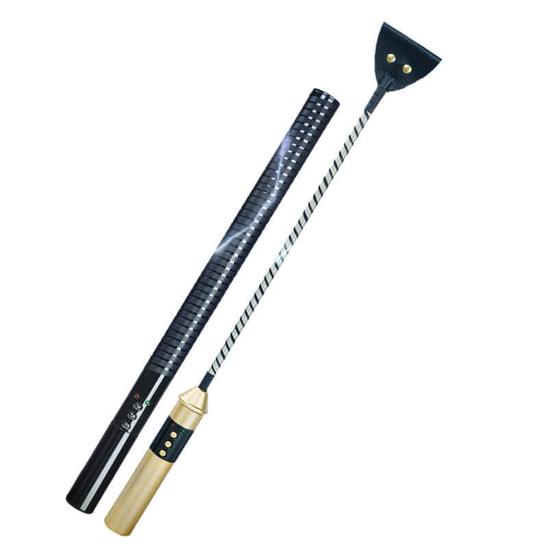Roomfun Passionately Electric Whip SM – Sensual Trends