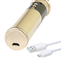 Roomfun Passionately Electric Whip SM